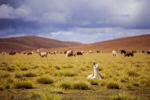 Peru