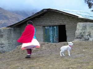 Life in the Andes  An overview of contemporary Andean culture, as practiced by the people in Peru, Bolivia, and Ecuador. Topics include but are not restricted to, the cultural geography of the Andes, agrarian techniques, worldview and spirituality, medicinal practices, and contemporary indigenous movements. The goal is to recognize Andean culture as the result of the resilience of the pre-Hispanic Andean heritage, and the continuous adaptation Andean people have practiced, first, to control their environmen